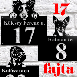 _kezdőkép